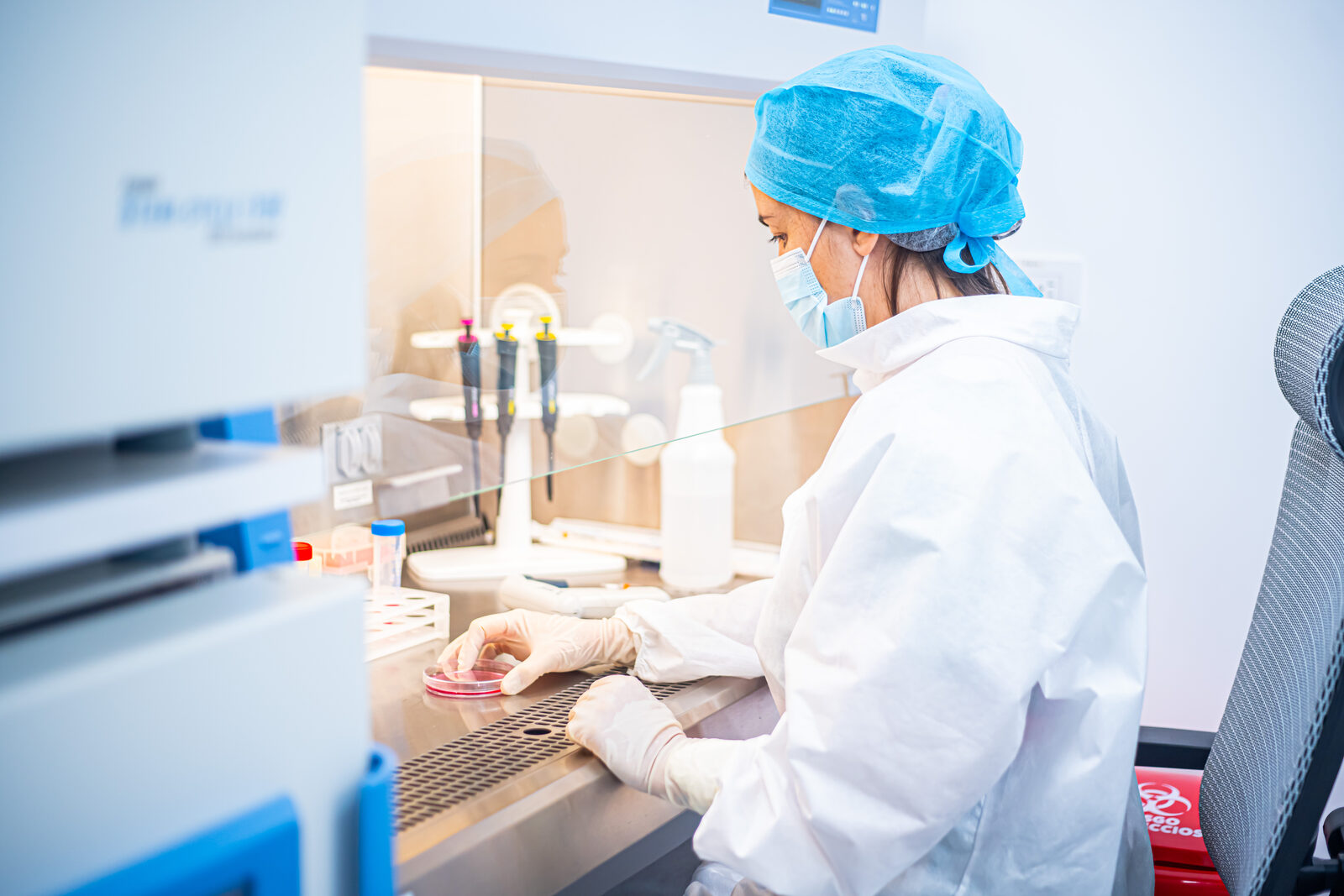 Cell processing in biosafety cabinet