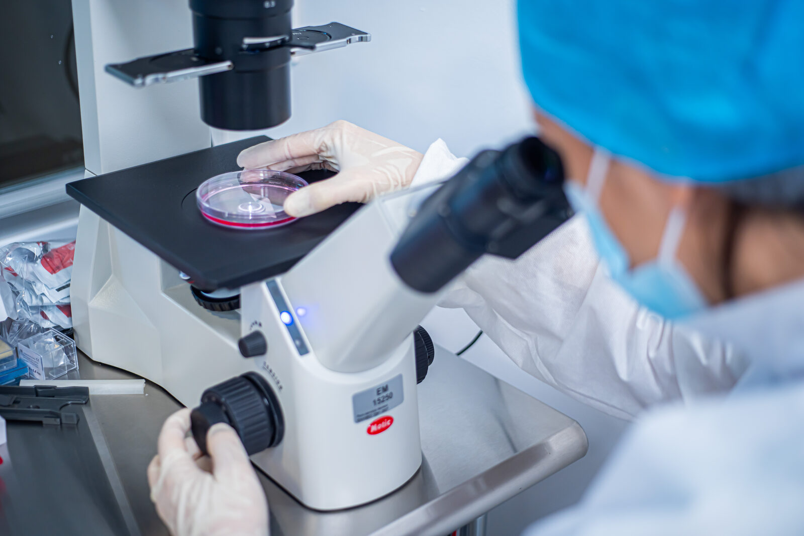 Microscopy of cell culture